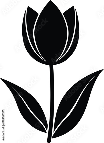 silhouette tulip on the white background 