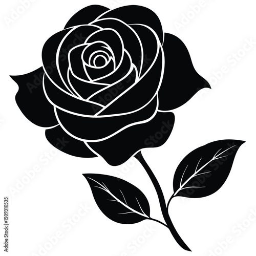 silhouette rose on the white background 