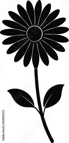 silhouette daisy on the white background