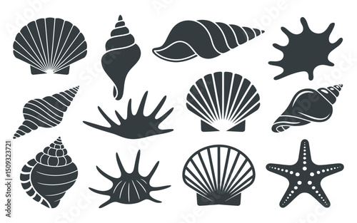 Collection of Black and White Sea Shells and Starfish Vector Illustration Nautical Theme Marine Life Ocean Beach Summer Vacation Decoration Graphic Element