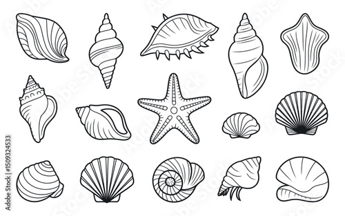 Collection of Black and White Seashells and Starfish Outlines Vector Illustration of Various Shell Types Perfect for Coloring Books and Summer Themed Designs