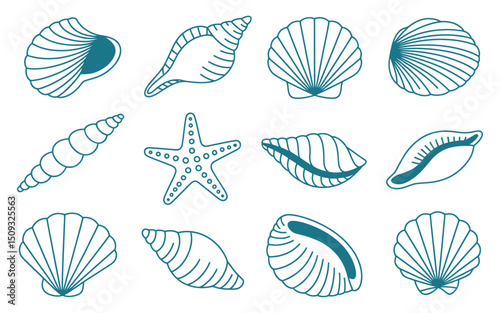 Collection of Various Seashells and a Starfish with a Simple Blue Outline Style on a White Background Perfect for Summer and Beach Themes