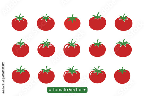 Set of fresh red tomatoes and vegetables on white background