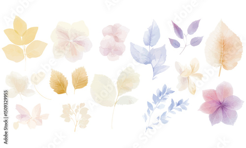 Delicate pastel botanical leaf and floral watercolor illustrations
