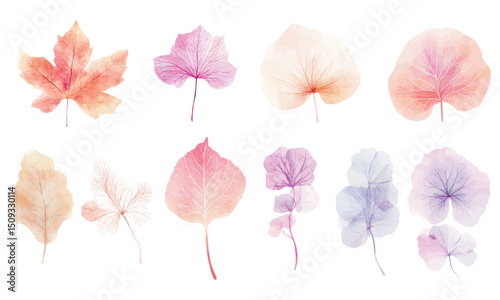 Pastel botanical transparent leaves with delicate watercolor textures