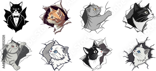 Funny Cats Peeking Through Torn Paper 
