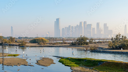 Photography calm view of birds and wetlands at Ras Al Khor Wildlife Sanctuary in Dubai