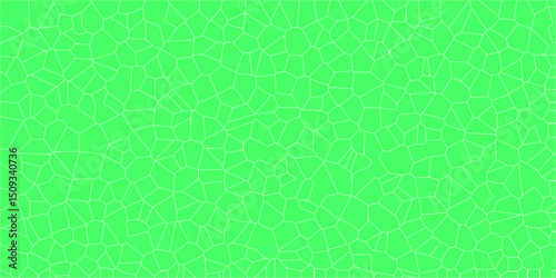 Intricate webbed design evoking natural surface mapping

