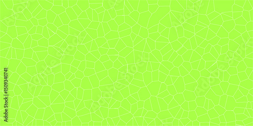 Intricate webbed design evoking natural surface mapping

