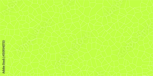 Intricate webbed design evoking natural surface mapping

