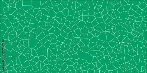 Detailed representation of a leaf’s internal structural web

