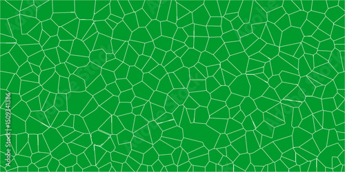 Detailed representation of a leaf’s internal structural web

