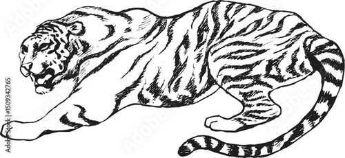 Vector black and white Hand-drawn Tiger Illustration Dynamic pose with bold linework and detailed stripes, perfect for tattoo design, wildlife themes, or graphic art use. photo