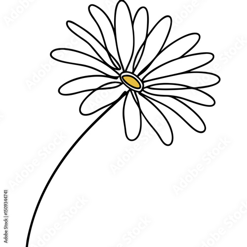 Single daisy flower head line art. Elegant daisy flower head illustration perfect for greeting cards or invitations.