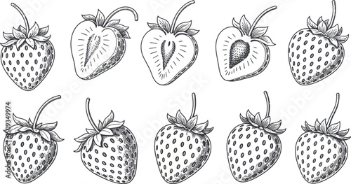 Ten strawberries in an engraving style, some whole and some cut in half, on a white background plain
