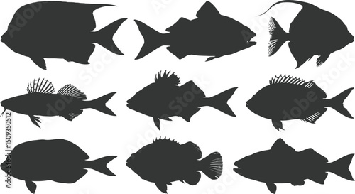 A collection of nine silhouette fish species arranged in a rectangular grid on a white background