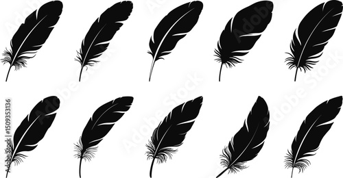 Ten black feathers arranged in two rows on a white background in a simple and clean illustration style
