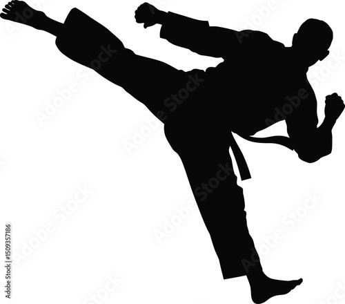 Karate fighter silhouette executing a powerful high kick in mid-air

