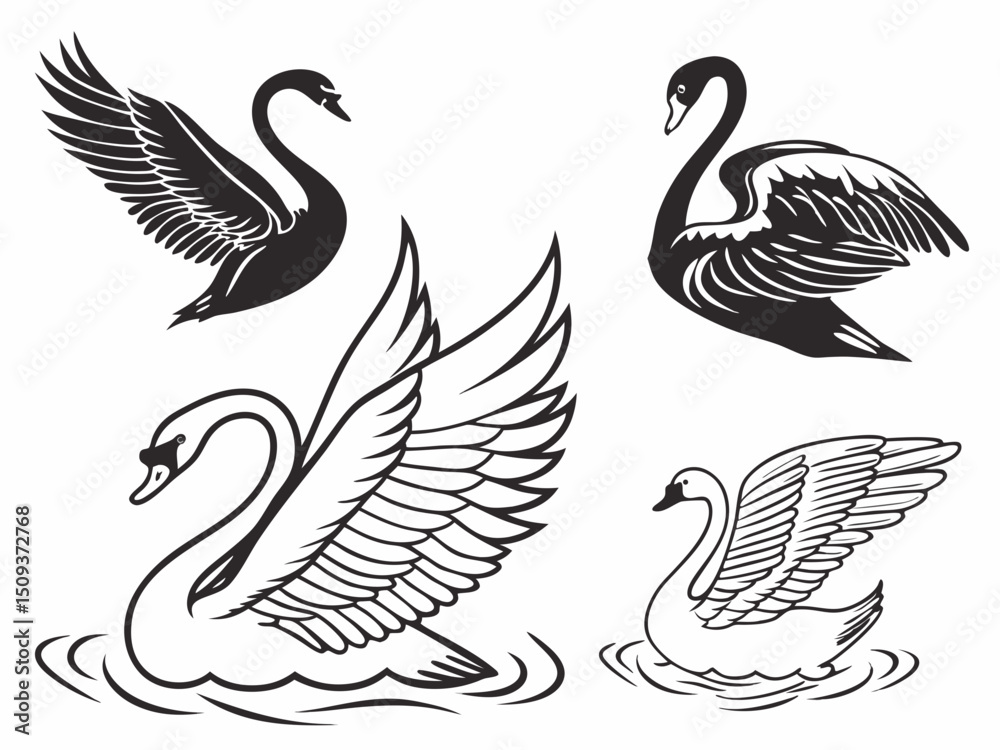 Fototapeta premium Create A Black And White Vector Collection Of Swan