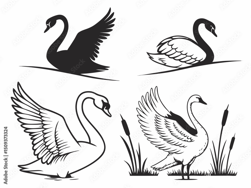 Fototapeta premium Generate30 Unique Swan Silhouette Illustrations T