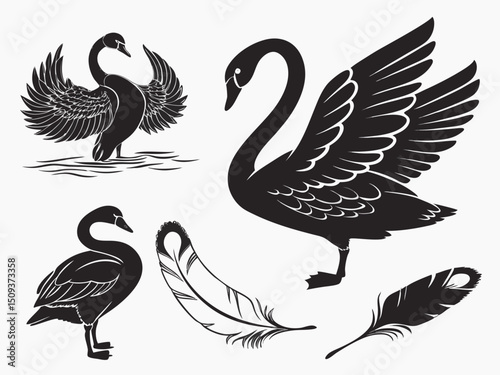 Generate30 Unique Swan Silhouette Illustrations T 2