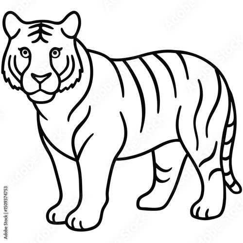 tiger vector illustration
