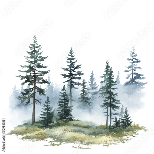 Misty Forest, watercolor painting vector, high quality, isolated on a white background.