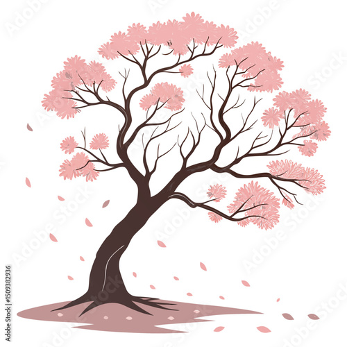 pink cherry tree