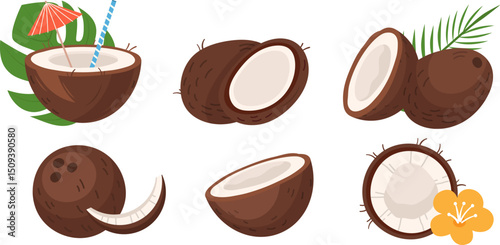 Coconut fresh tropical fruit cartoon vector illustration set