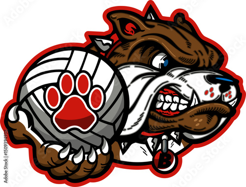 mean bulldog mascot holding volleyball for school, college or league sports