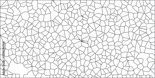 Abstract cellular pattern in black lines and white spaces creating a geometric illustration for modern designs and backgrounds