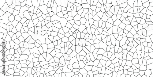 Abstract voronoi diagram in black lines illustrating geometric patterns and cellular structures for modern designs and backgrounds