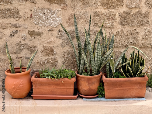 Rhodes old town Rhodes Greek island