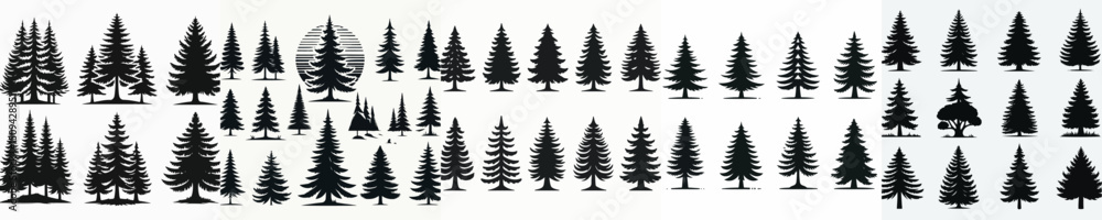 Fototapeta premium Vector set image silhouette of pine tree.