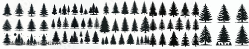 Vector set image silhouette of pine tree.
