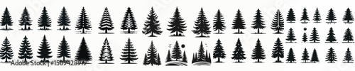 Vector set image silhouette of pine tree.