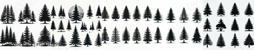 Vector set image silhouette of pine tree.