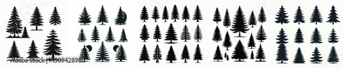 Vector set image silhouette of pine tree.