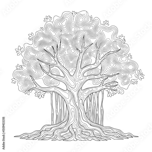 tree with roots