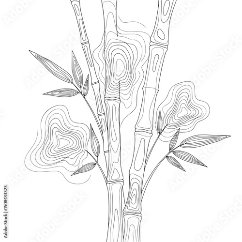line art of bamboo
