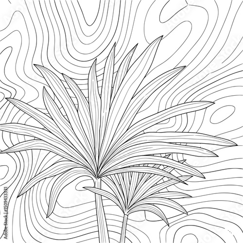 black and white abstract background