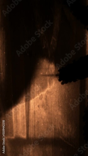 Abstract film leader forms flicker and pulse. Video loop.