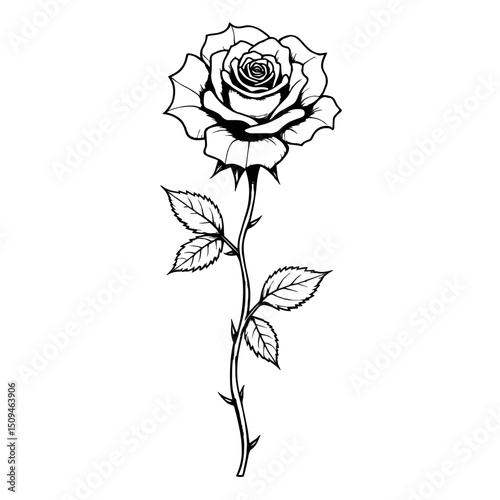 A stunning artistic monochrome illustration of a rose, with intricate details showcased against an isolated backdrop. Capturing the elegance and timeless beauty.