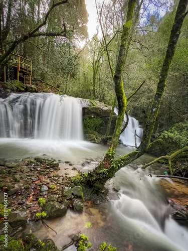 Wooden walkways over a waterfall in a lush forest, surrounded by moss-covered rocks and tall trees, creating a serene scene, located in Pindelo, Outeiro, Oliveira de Azemeis, Portugal photo
