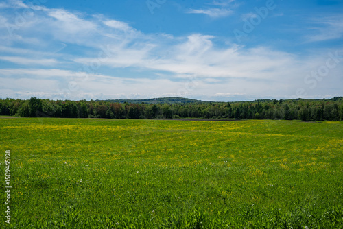 Photo du champ et colline à l’horizon