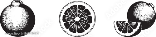 Three citrus fruits – an orange a halved orange slice and a sliced orange segment – are presented in a linear arrangement.