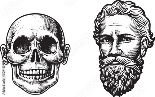 detailed skull and a bearded man's profile face are presented in a black and white engraving.