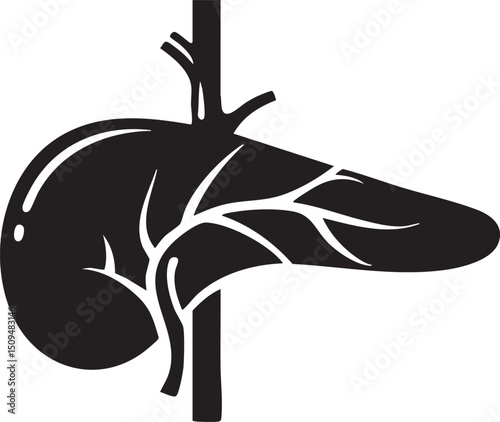 stylized black silhouette of a human liver is displayed against a white background.