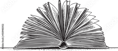 detailed of an open book with numerous pages spread wide.