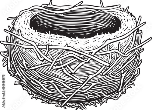 weathered bird’s nest sits patiently in a dark hollow.